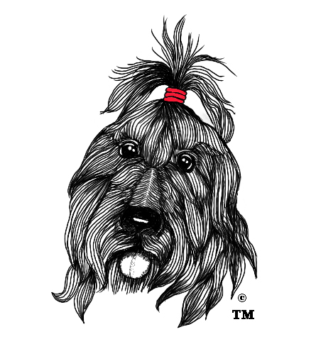 WELCOME TO STEVE SCHNEIDER BOOKS — Home of The Doodles